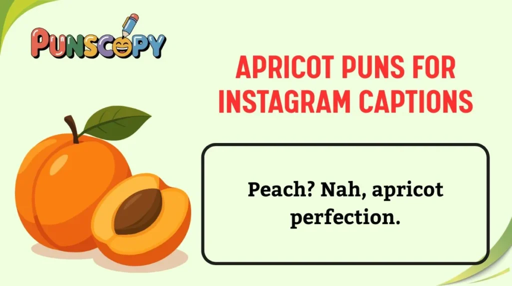 Apricot Puns for Instagram Captions