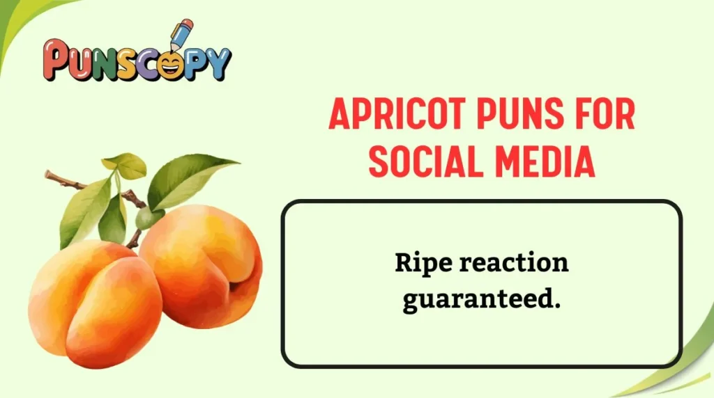Apricot Puns for Social Media