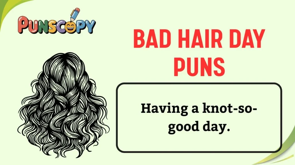 Bad Hair Day Puns
