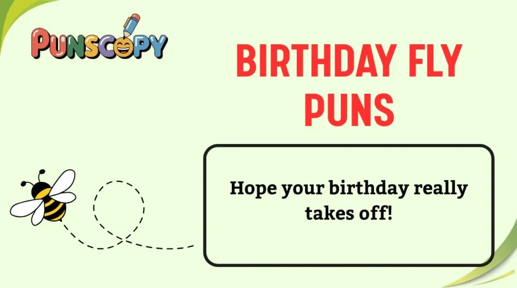 Birthday Fly Puns