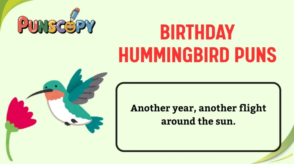 Birthday Hummingbird Puns