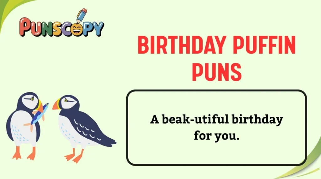 Birthday Puffin Puns