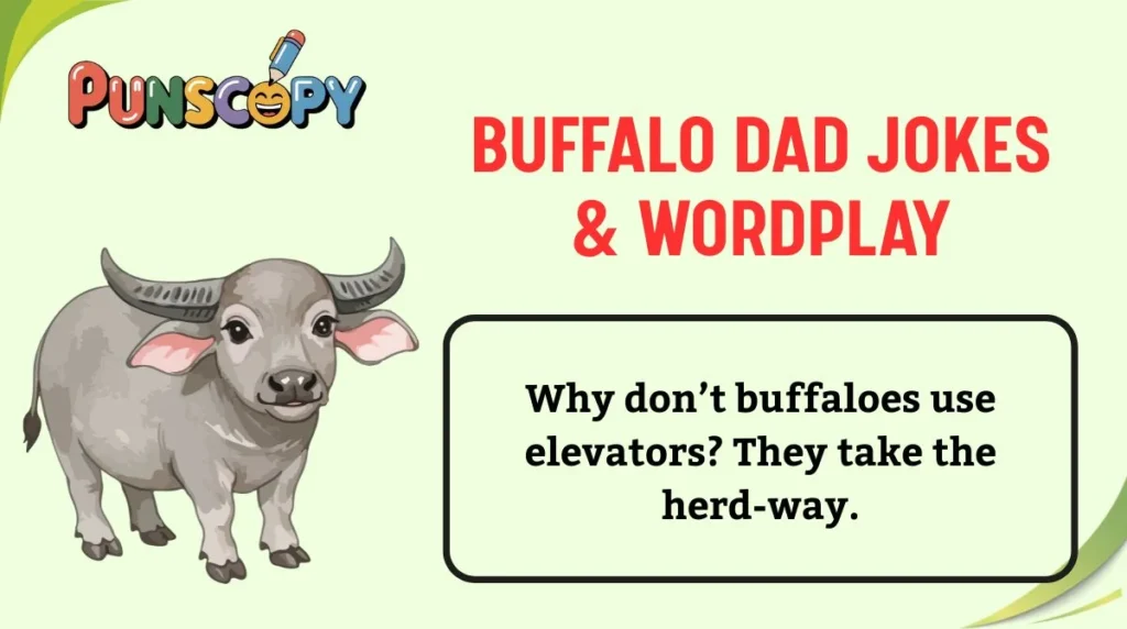 Buffalo Dad Jokes & Wordplay