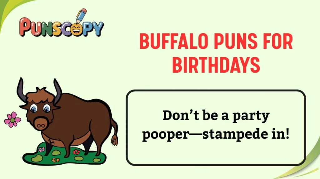 Buffalo Puns for Birthdays