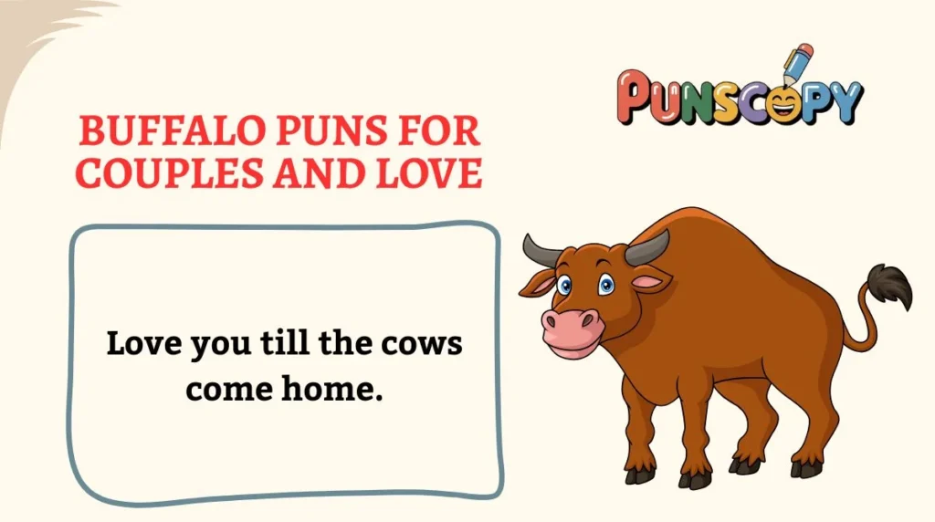 Buffalo Puns for Couples and Love