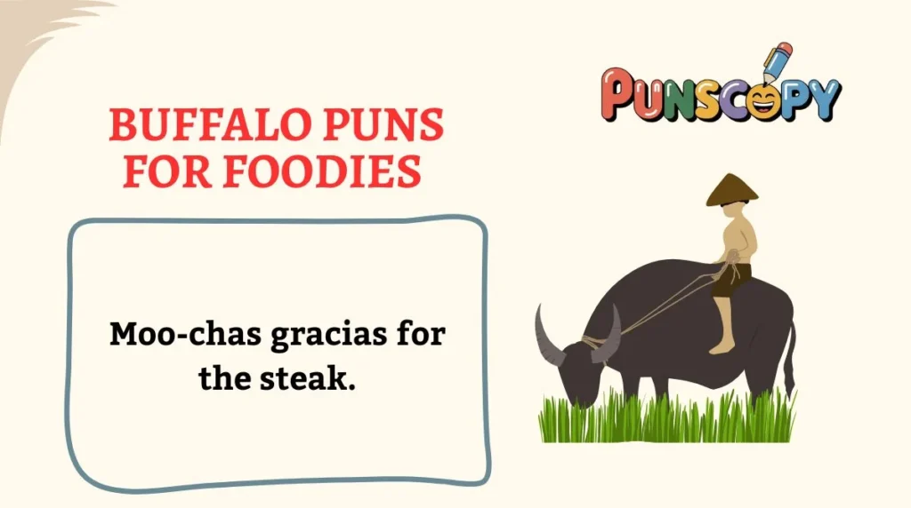 Buffalo Puns for Foodies