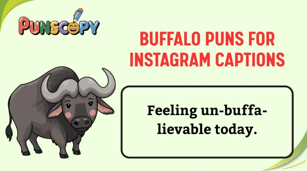 Buffalo Puns for Instagram Captions