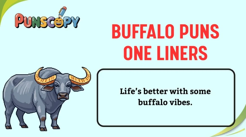 Buffalo Puns One Liners