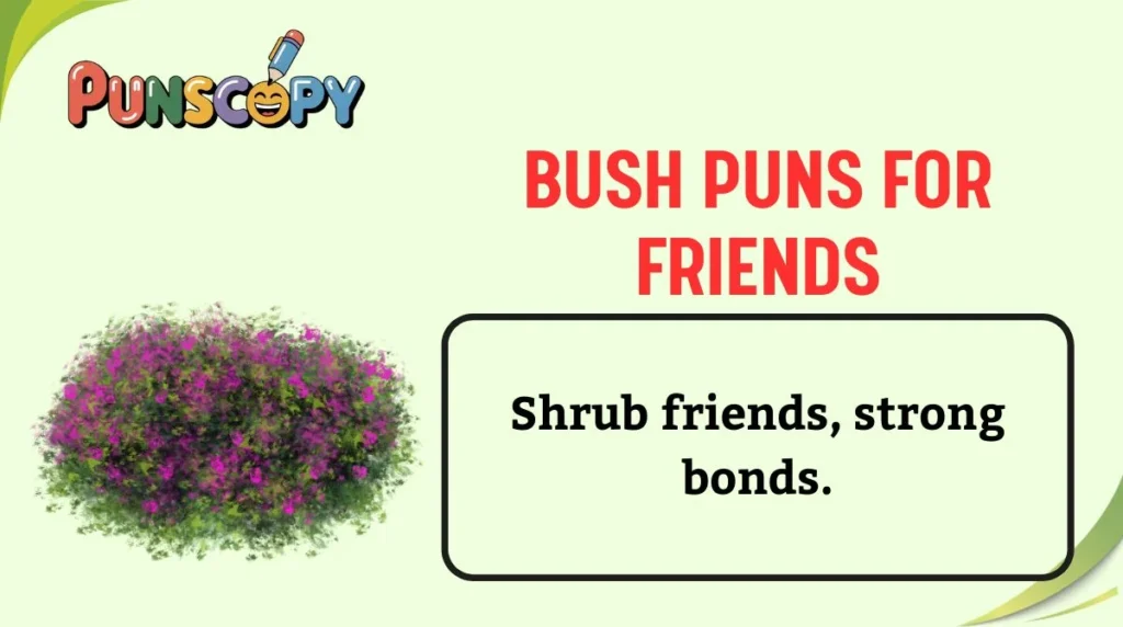 Bush Puns for Friends