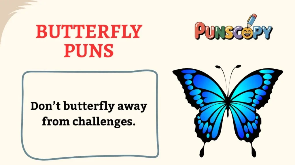 Butterfly Puns