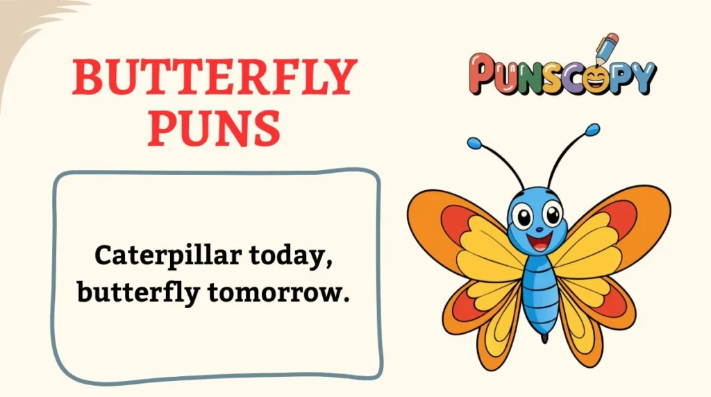 Butterfly Puns