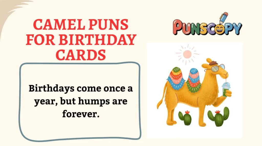Camel Puns for Birthday Cards
