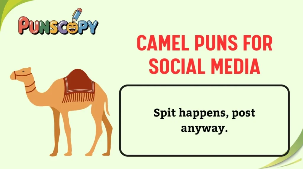 Camel Puns for Social Media