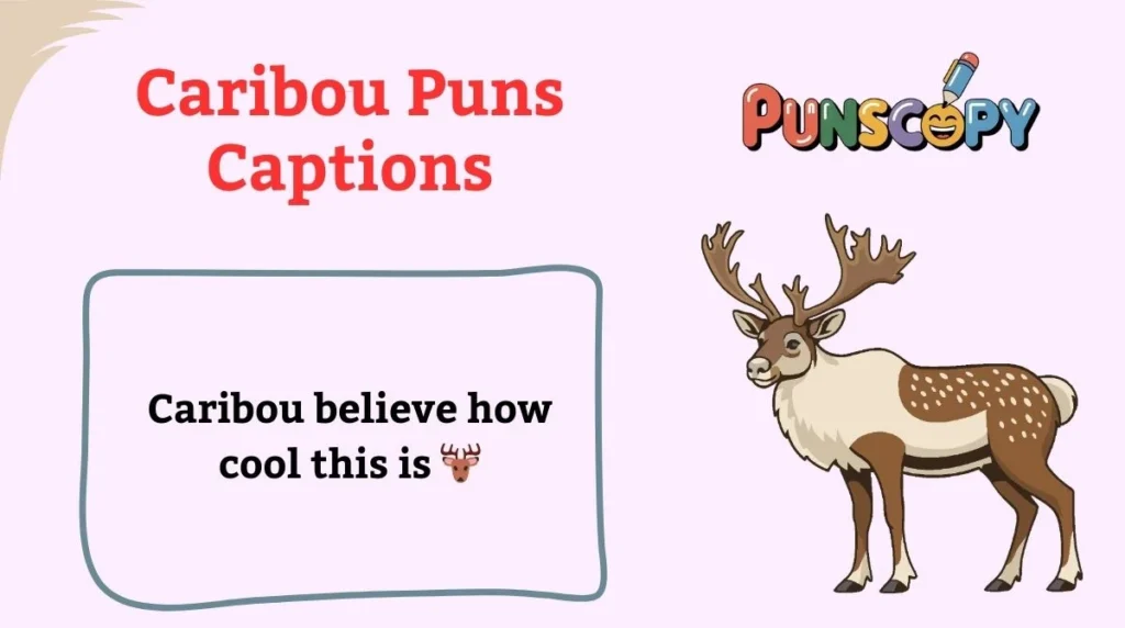 Caribou Puns Captions