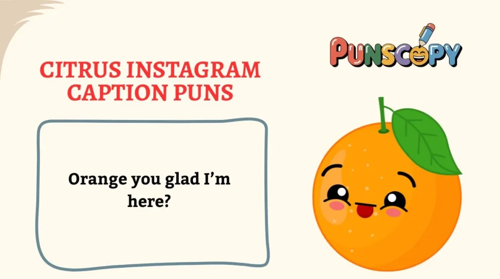 Citrus Instagram Caption Puns