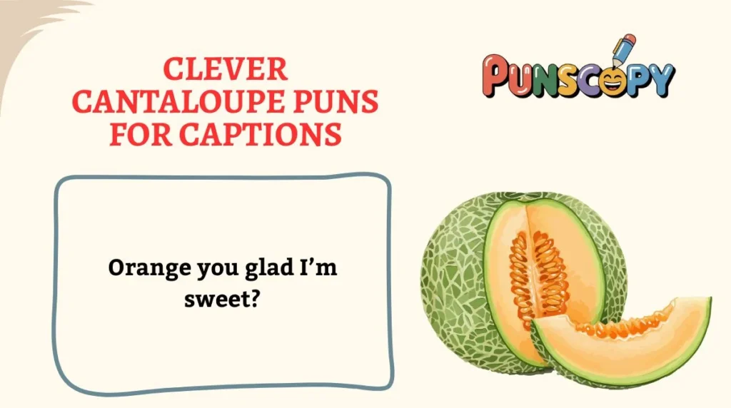 Clever Cantaloupe Puns for Captions