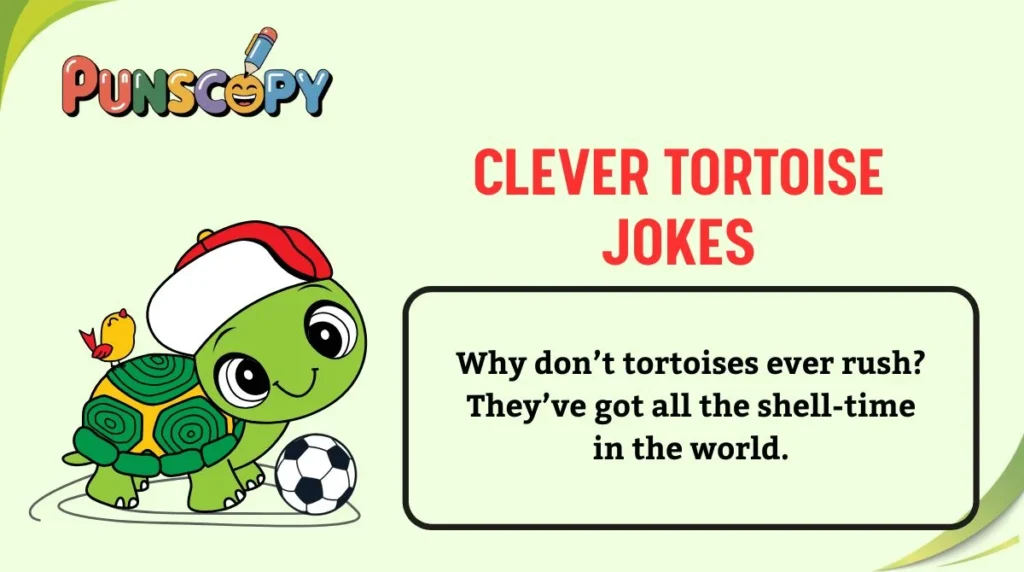 Clever Tortoise Jokes