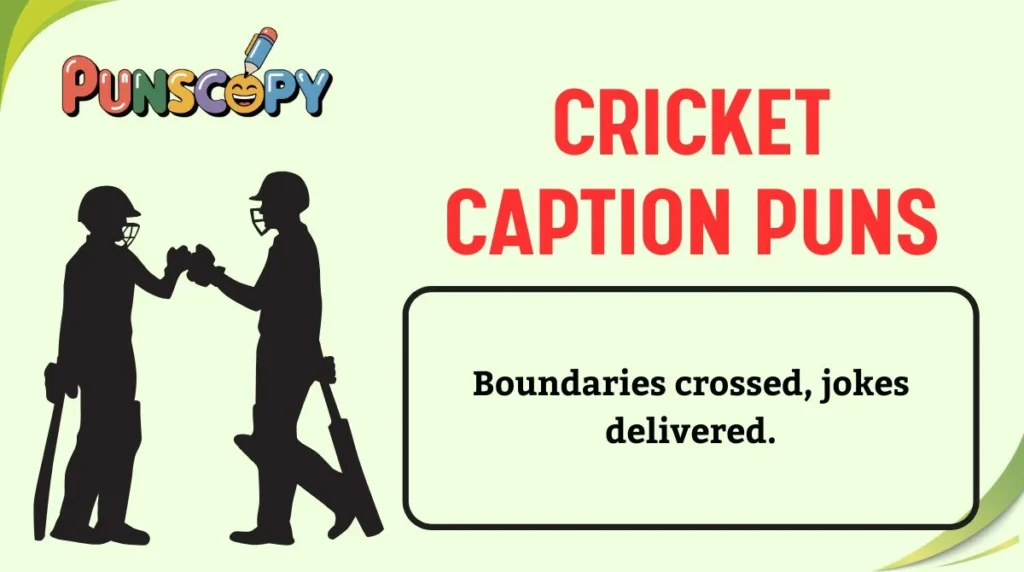Cricket Caption Puns