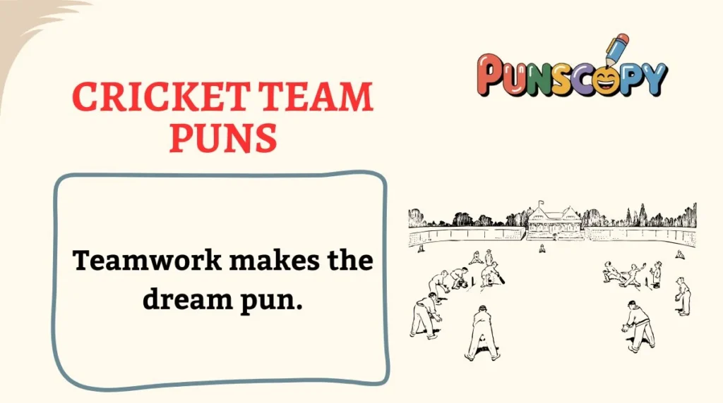 Cricket Team Puns