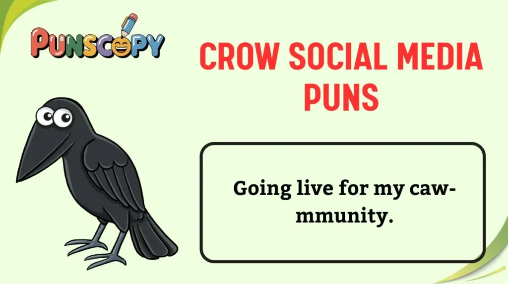 Crow Social Media Puns