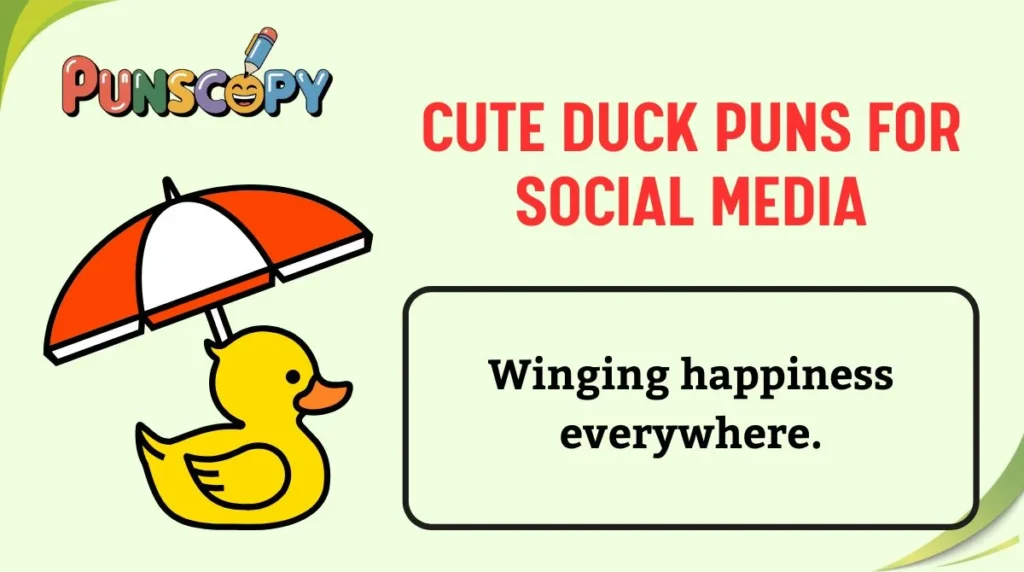 Cute Duck Puns for Social Media