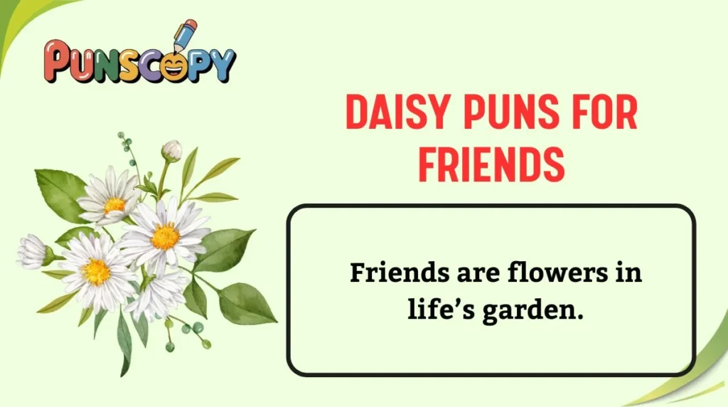 Daisy Puns for Friends