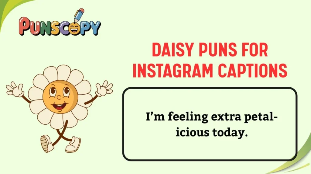 Daisy Puns for Instagram Captions