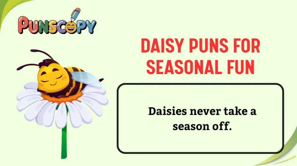 Daisy Puns for Seasonal Fun