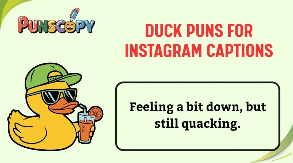Duck Puns for Instagram Captions