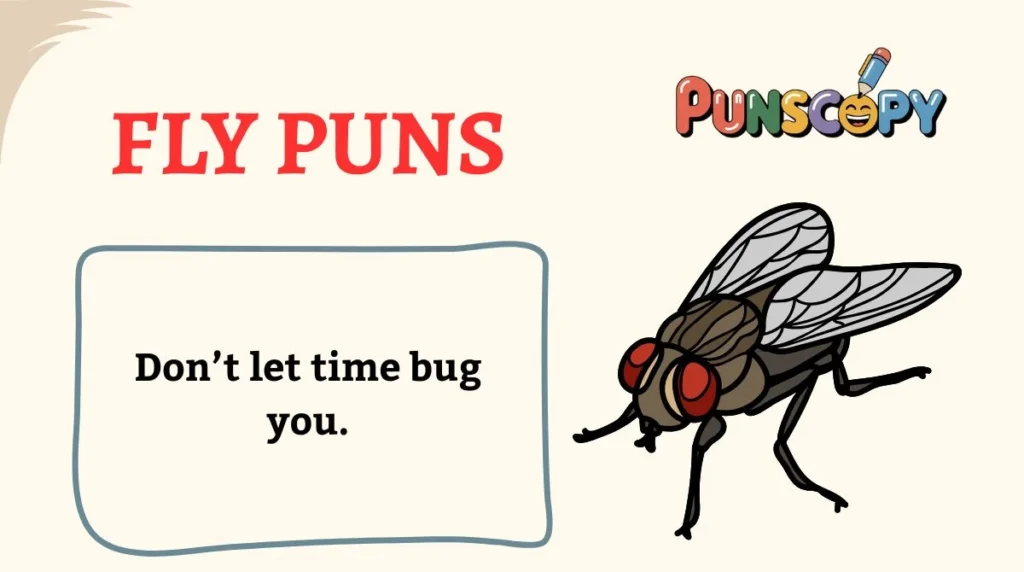 Fly Puns