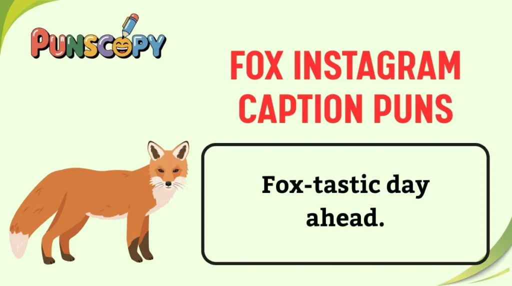 Fox Instagram Caption Puns