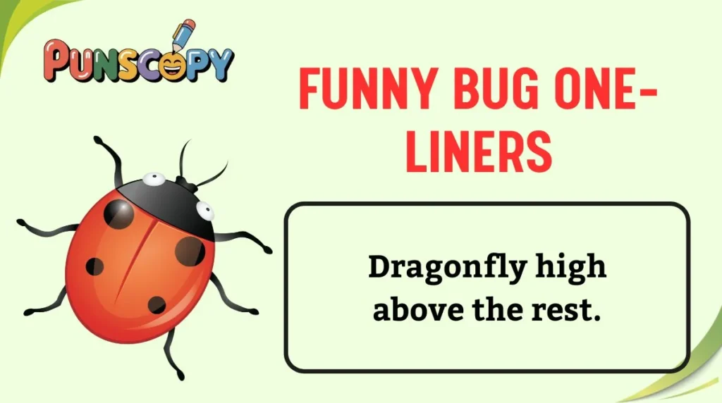 Funny Bug One-Liners