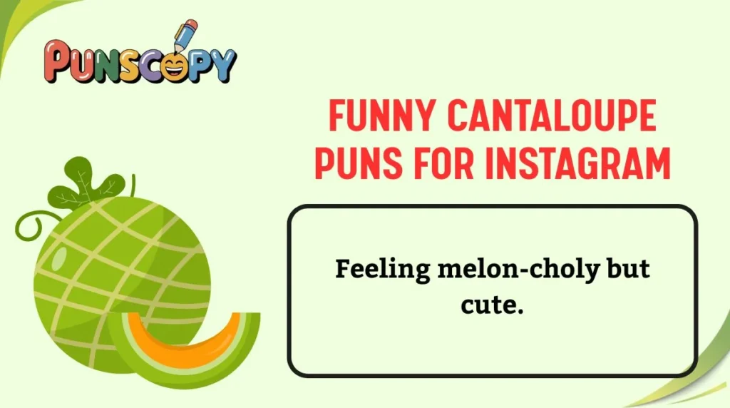 Funny Cantaloupe Puns for Instagram