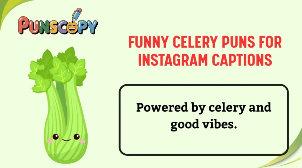 Funny Celery Puns for Instagram Captions