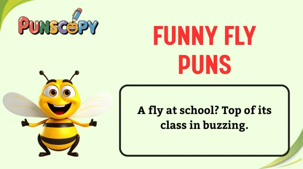 Funny Fly Puns