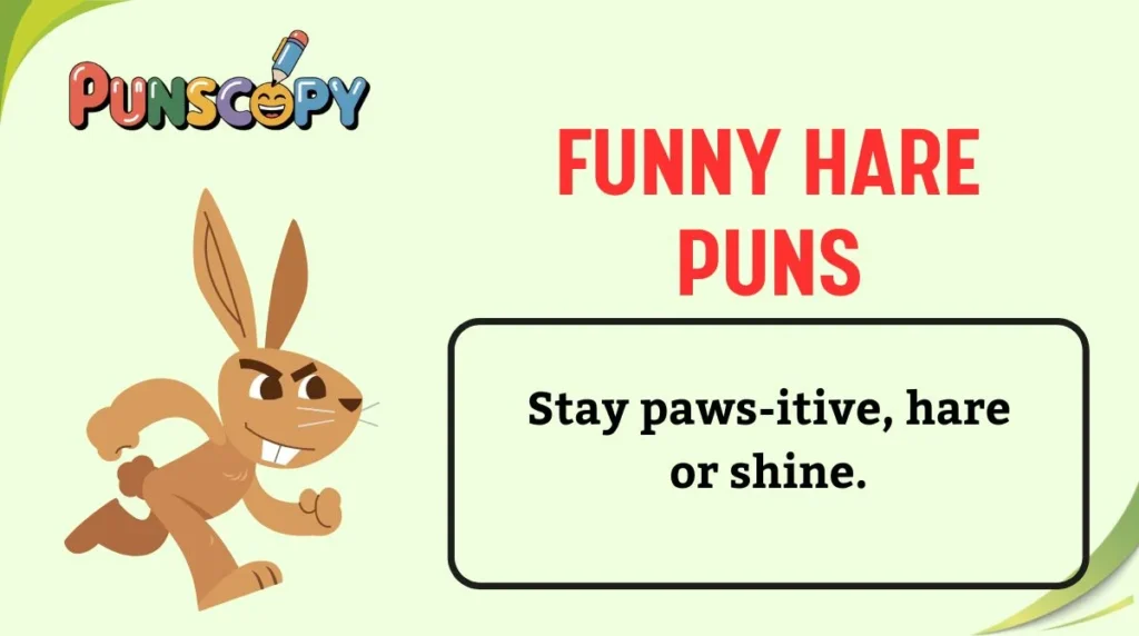 Funny Hare Puns