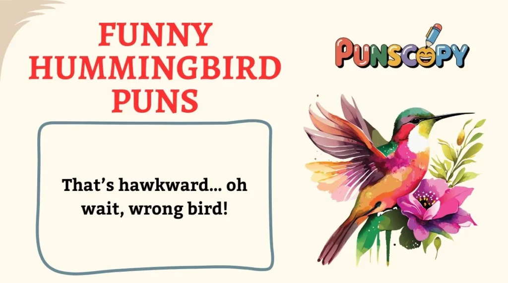 Funny Hummingbird Puns