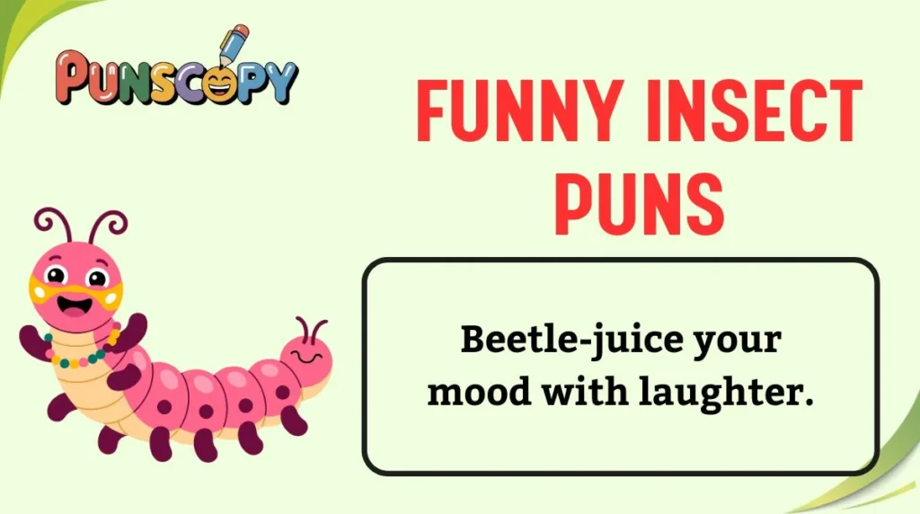Funny Insect Puns