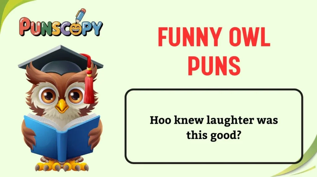 Funny Owl Puns