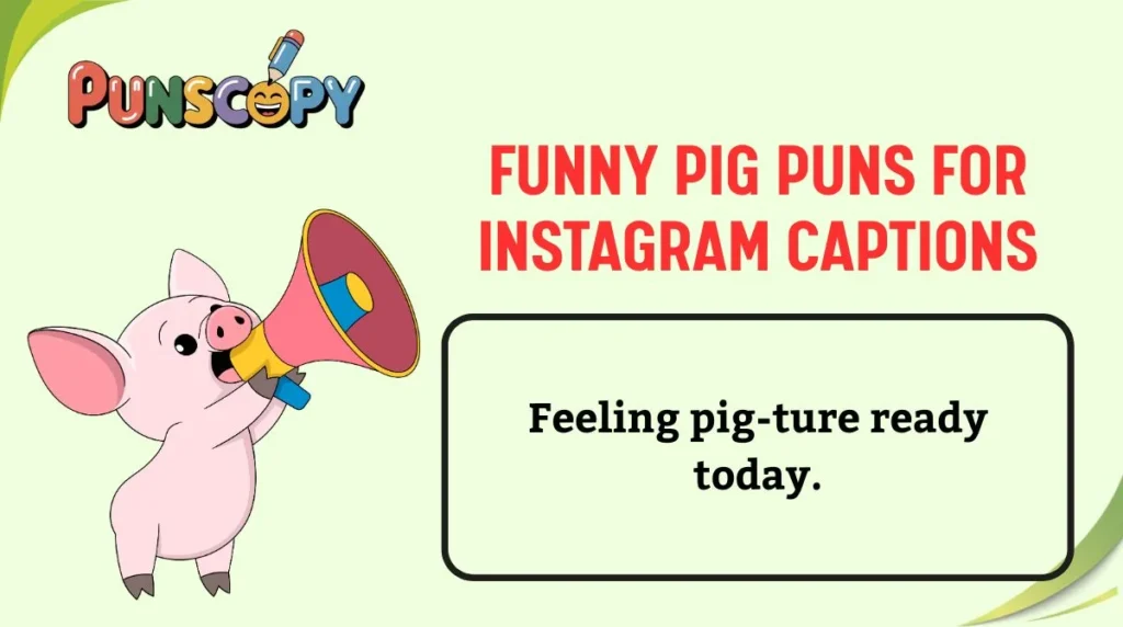Funny Pig Puns for Instagram Captions