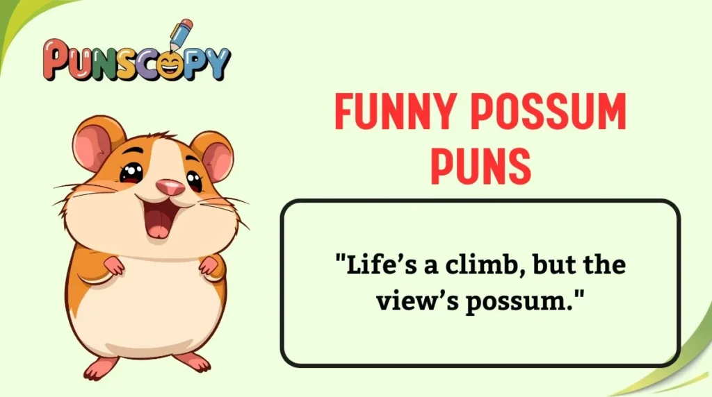 Funny Possum Puns