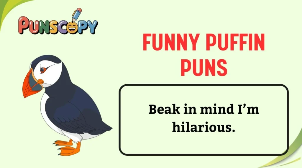 Funny Puffin Puns