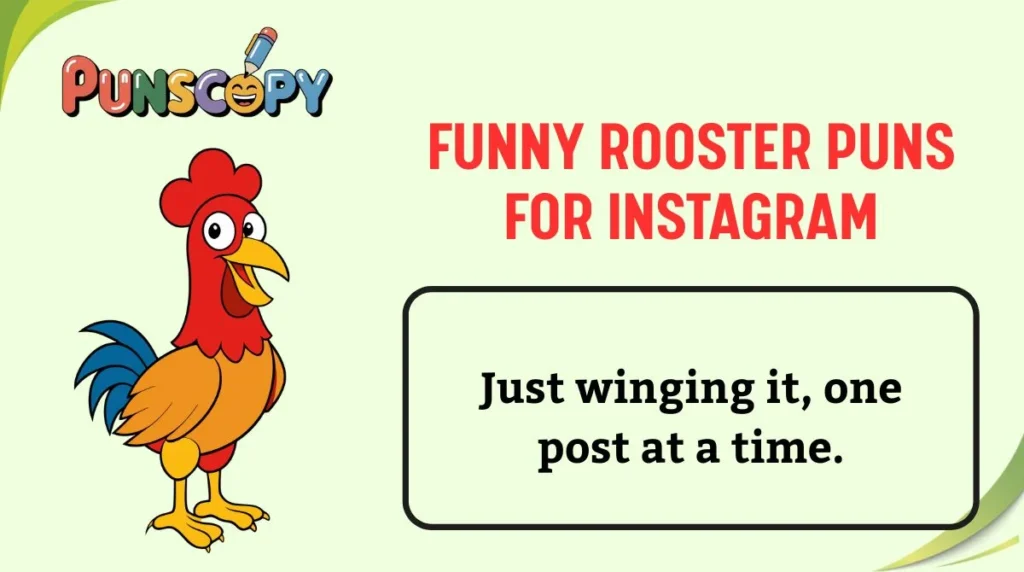 Funny Rooster Puns for Instagram