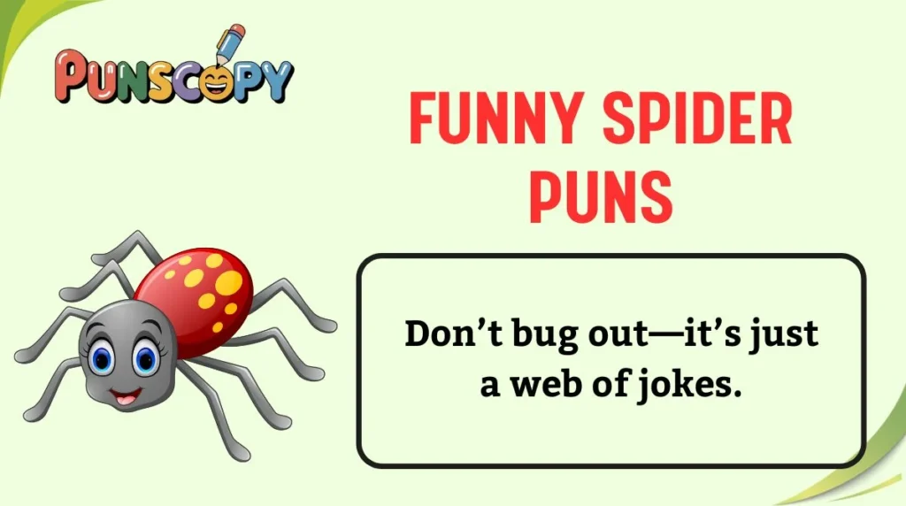 Funny Spider Puns