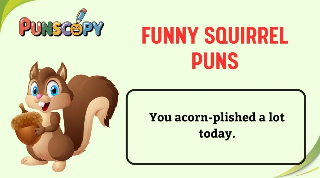 Funny Squirrel Puns