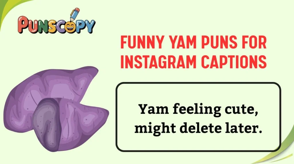 Funny Yam Puns for Instagram Captions