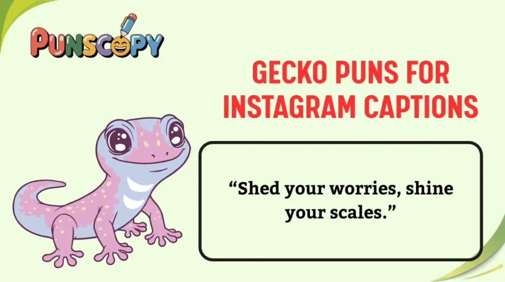 Gecko Puns for Instagram Captions