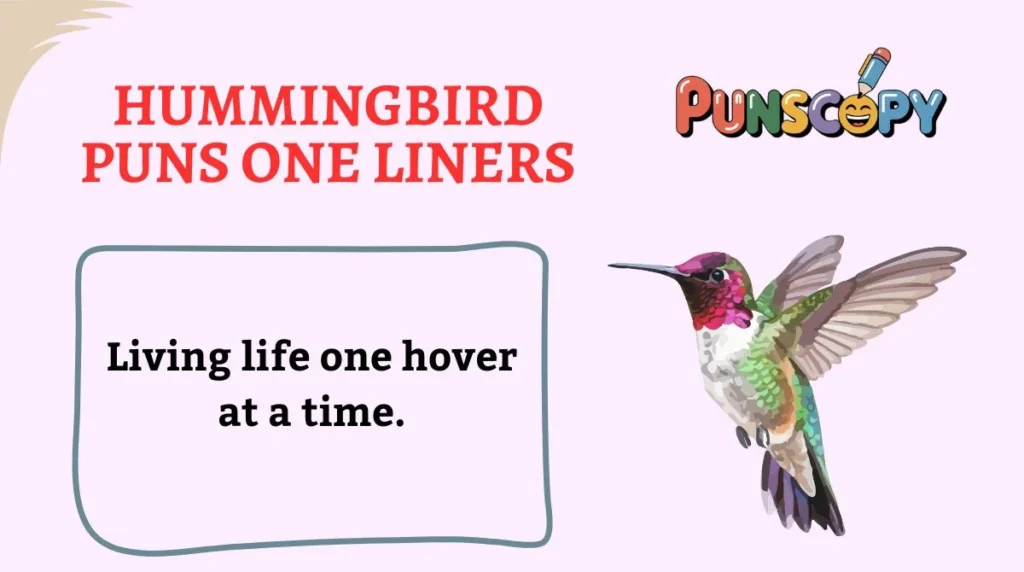 Hummingbird Puns One Liners