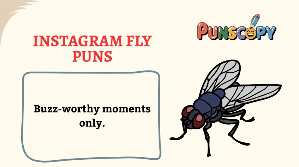 Instagram Fly Puns