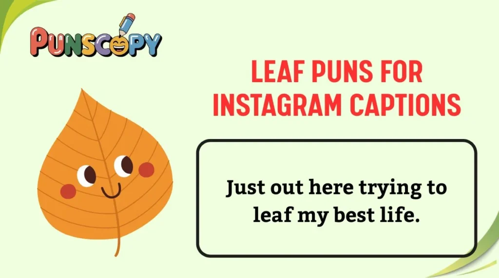Leaf Puns for Instagram Captions
